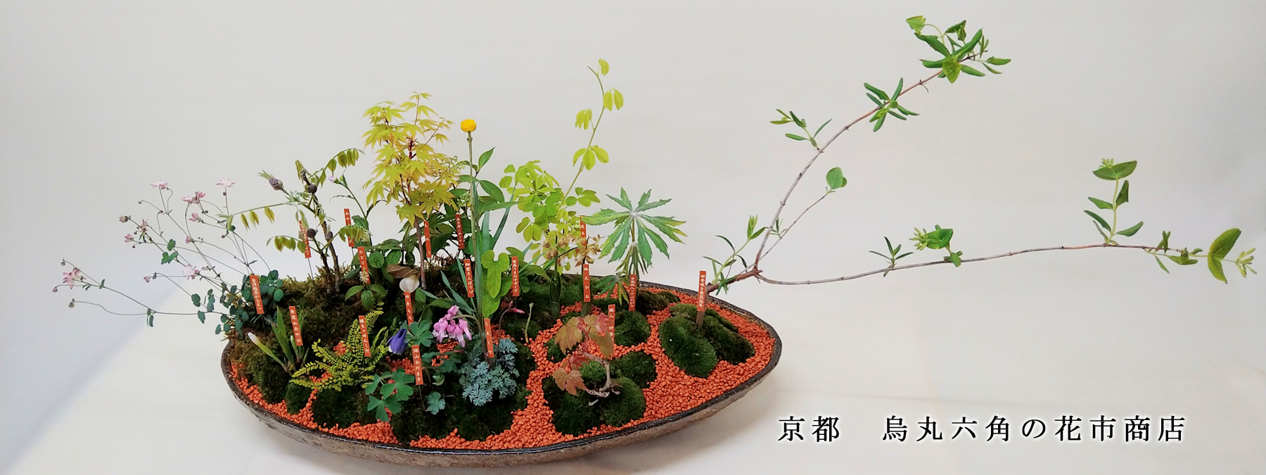 京都の花屋・烏丸六角の花市 和花の寄植え