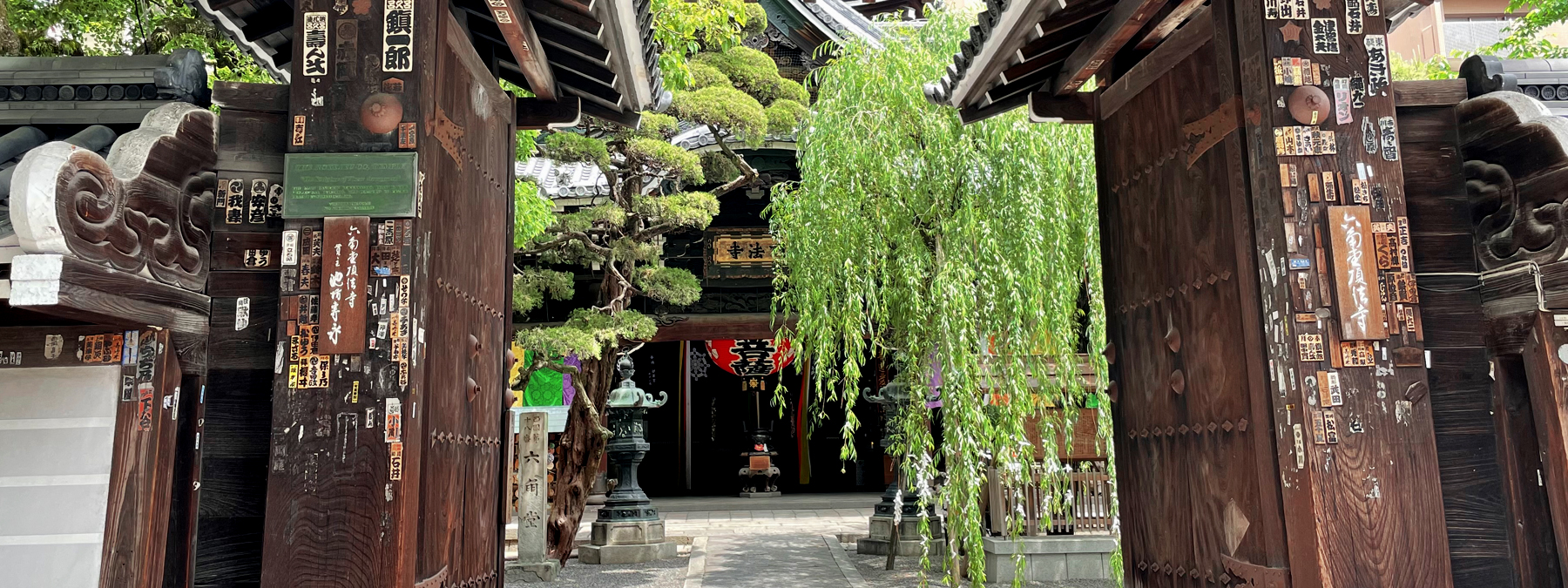 京都の花屋・烏丸六角の花市